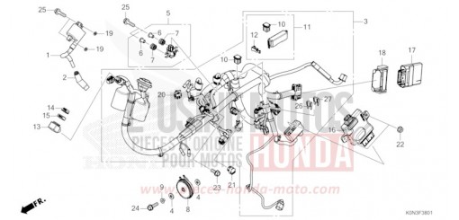 FAISCEAU DES FILS (CBF125ME) CBF125MER de 2024